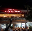 Çetinkaya Canlı Balık 0226 531 43 65 Armutlu da Meşhur Balık Restaurantı