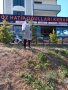 Öz Hatipoğulları Kebapçısı Gebze Mollafenari Kebapçı